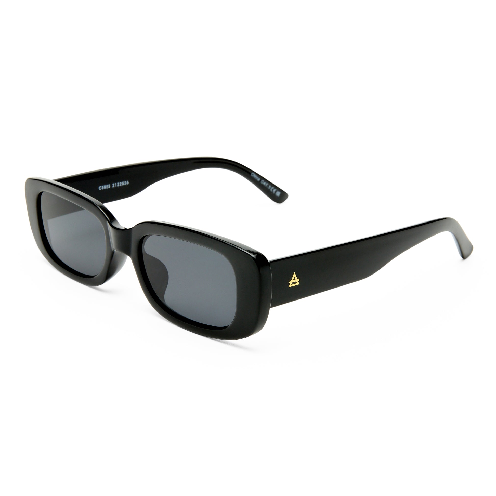Ceres Black Uni-Sex Rectangle Sunglasses | Aire