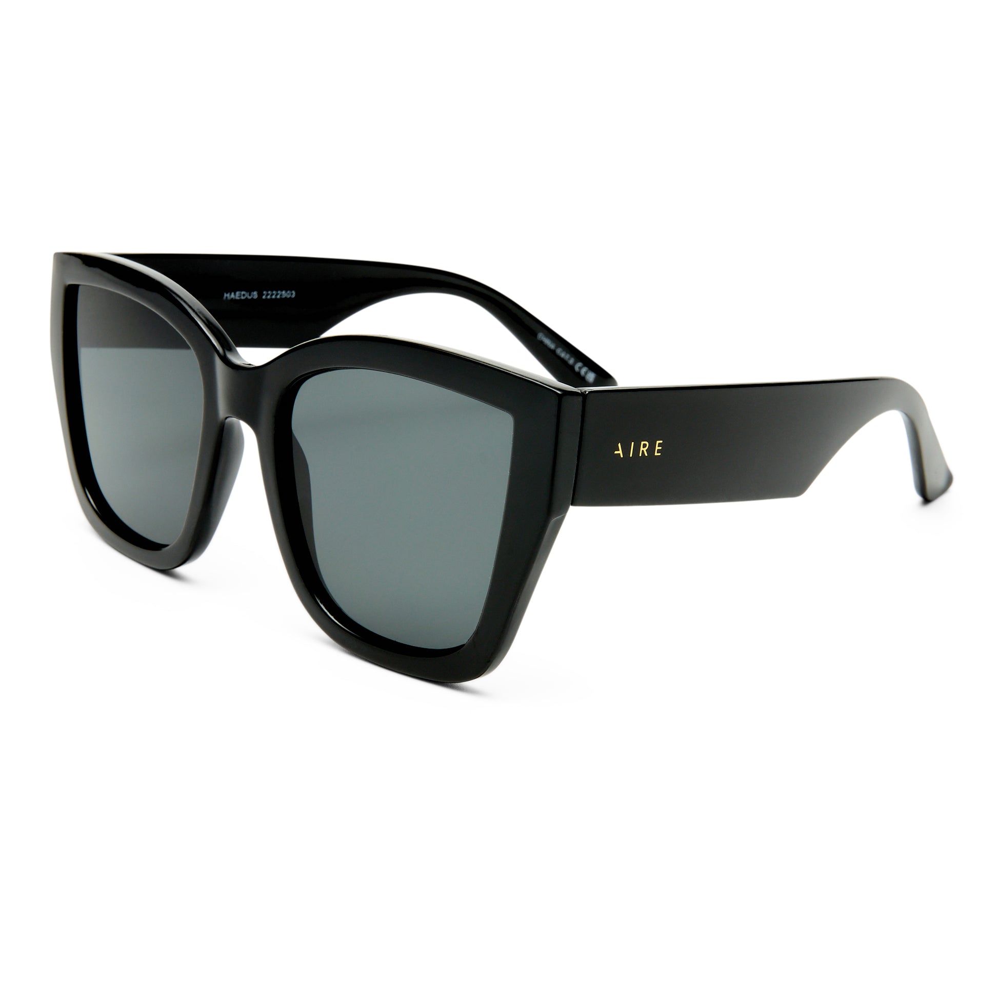 Haedus Black Female Cat-Eye Sunglasses | Aire
