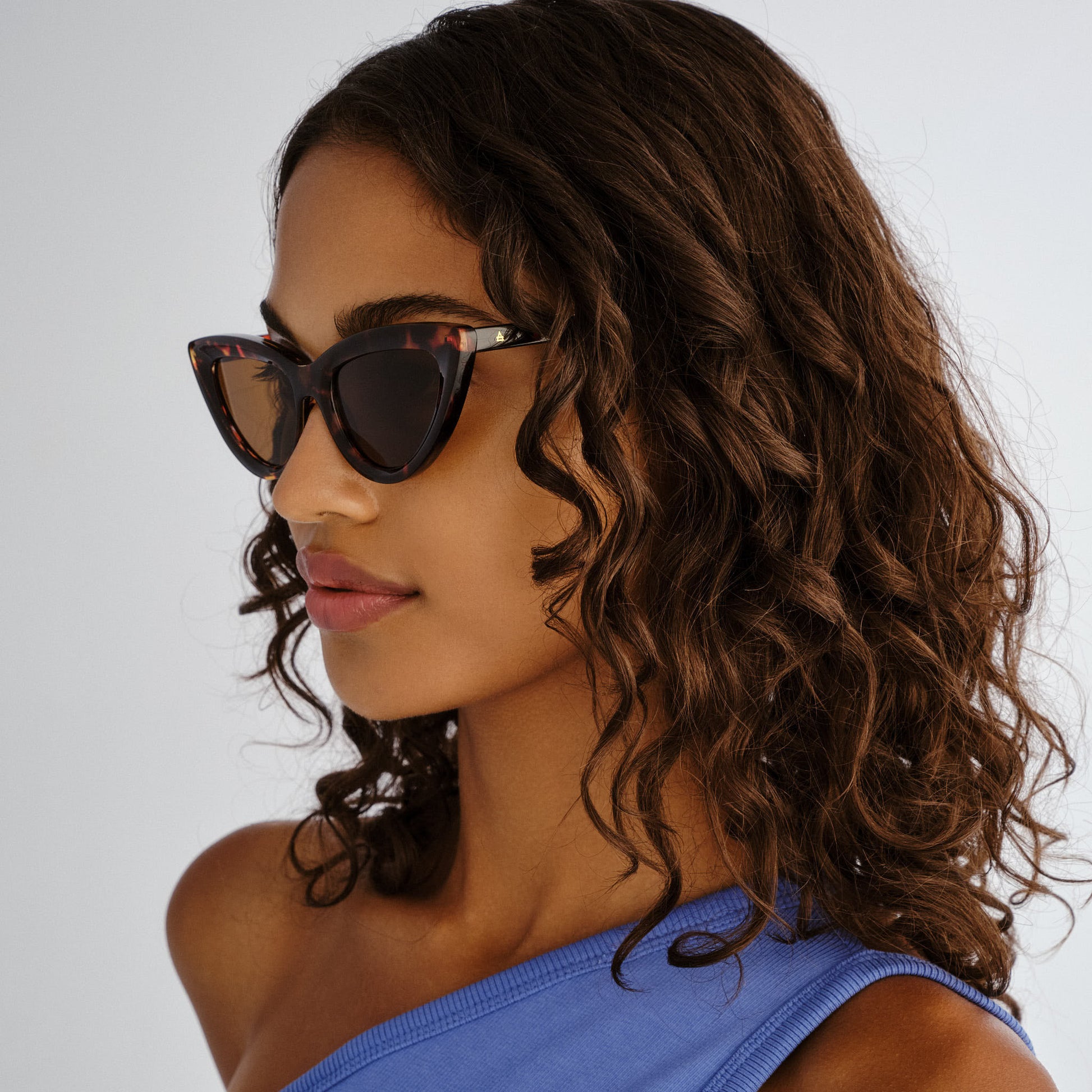 Realm Amber Tort Female Cat-Eye Sunglasses | Aire